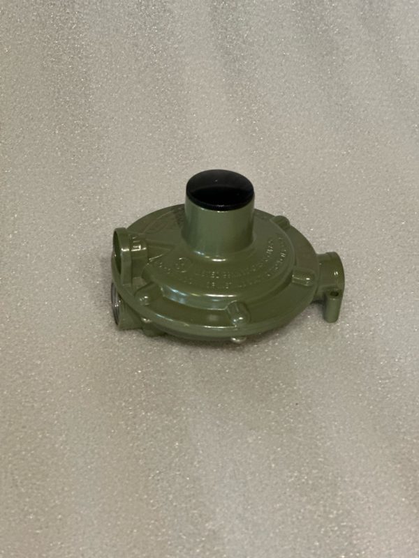 Lil Joe Regulator - Image 2